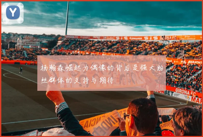 杨瀚森崛起为偶像的背后是强大粉丝群体的支持与期待