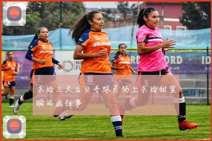 求婚三天后分手球员场上求婚甜蜜瞬间成往事